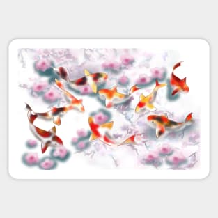 Sakura and koi carp in white water Sticker